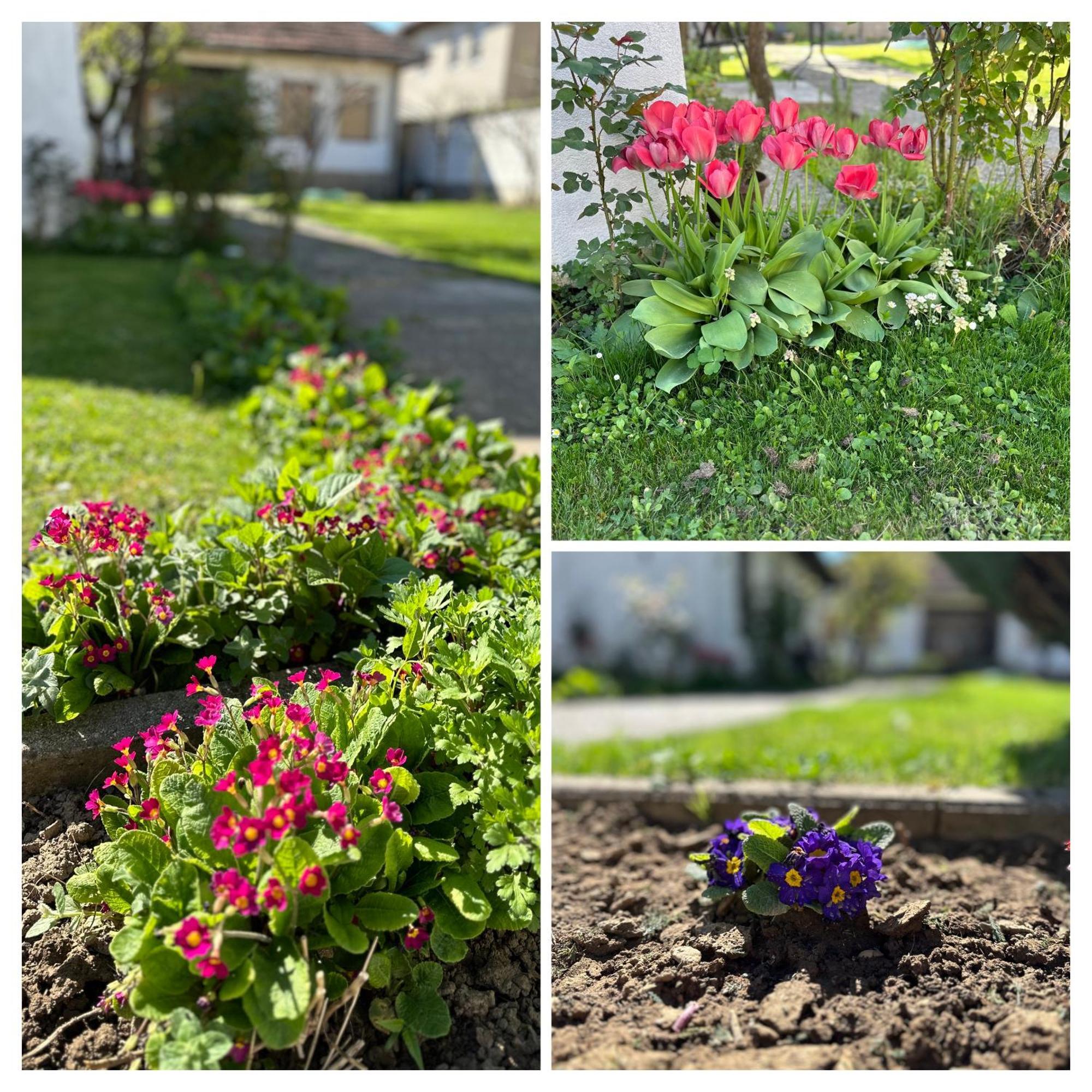 Garden Guesthouse Gjakova Dış mekan fotoğraf